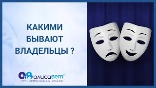 Какими бывают владельцы?