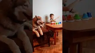 Тимофей (4 года) играет на колокольчиках.