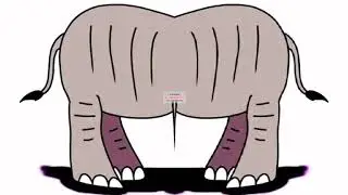 Preview 2 pop elephant jan 31 2021 effects sponsored by preview 2 effects