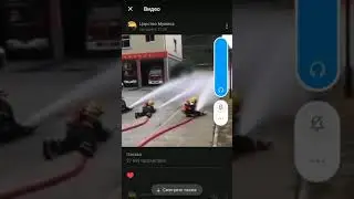 петросян мозг муха