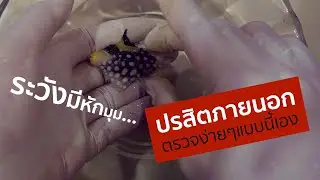 สาธิตการตรวจเมือกปลา Clown Triggerfish ... เจออะไรเก๋ๆด้วยอะ