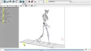 Visual3D Video Tutorial: Report Building - Add an Image to Report (Manual)