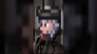 Terraria Tax Collector be like: