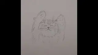 Котята на скорую руку Как нарисовать портрет кошки Простой рисунок карандашом