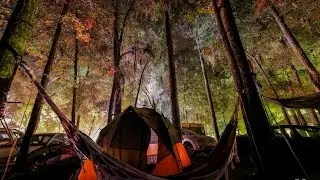 Purple Hatters Ball 2015 Suwannee Music Park