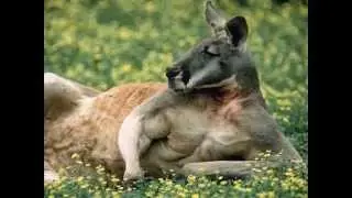 Very funny pictures