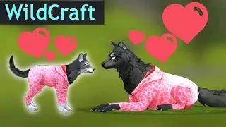 ПОПОЛНЕНИЕ В СЕМЬЕ ВОЛКОВ! Родился волчонок в WildCraft!