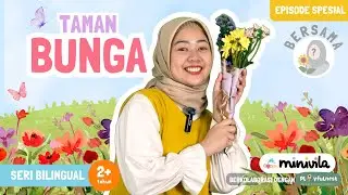 TAMAN BUNGA | Belajar Mengenal Nama-Nama Bunga dan Eksplorasi Keindahan Bunga