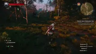 The Witcher 3 Wild Hunt Прохождение