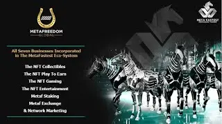 Race, Breed, Earn: The Ultimate Guide to MetaFastest - Digital Horse Racing NFT Game!