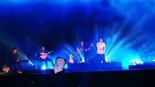 Primavera Tondela - Buba Espinho
