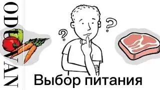 Осознанность в выборе питания. Как то, что вы едите воздействует на ум?