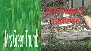 Butterfly Garden