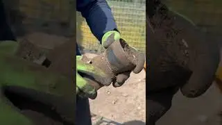 ЧТО МОЖНО НАЙТИ ВО ДВОРЕ НЕМЕЦКОГО ДОМА В КАЛИНИНГРАДСКОЙ ОБЛАСТИ…