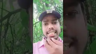 IBPS PO Pre 2023 exam review ||3rd shift || 23sept 2023 ||My attempts