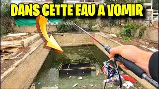 Je sauve 50 poissons de la mort