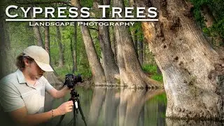 It's ALL About the Lighting | Landscape Photography in Wimberley Texas