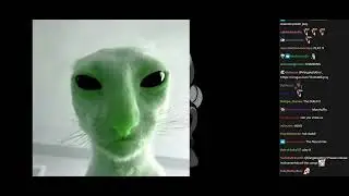 [Vinesauce] Joel [Chat Replay] - Coots TV