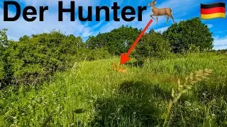Der Hunter 🦌 🇩🇪