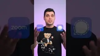 Как позвонить, если ты в Дубае? Скачай эти приложения Zoom и Signal ☎️