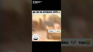1 апреля #любовь #music #rap #романтика #тикток #тиктокиграет #война #ворлдофтанкс #девушка