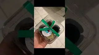 🔥 Dê o seu Melhor - Fazendo Brigadeiros