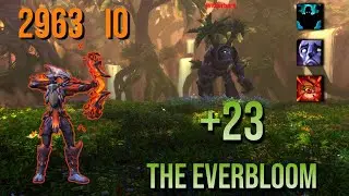 +23 The Everbloom | MM Hunter M+ |  325K DPS | WoW Dragonflight 10.2
