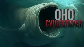 ОБ ЭТОМ МОЛЧАТ УЧЁНЫЕ...