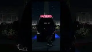 ТИПЫ ИГРОКОВ MAJESTIC RP 