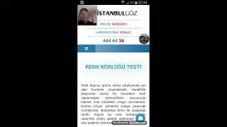 Renk Körlüğü Testi