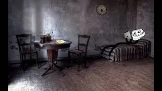 The 