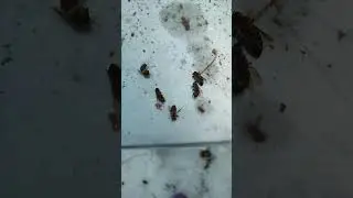 Выход с зимы 