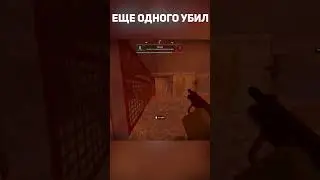Сколько я там убил???