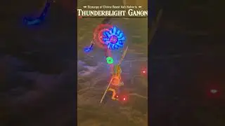 It might just be a me issue #comedy #nintendo #zelda #botw  #gaming