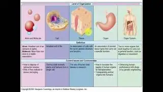 Biology Lecture 4 | Discuss Different Biology Levels Briefly | school of biological sciences|biology