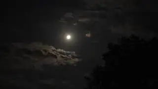Размышления о луне