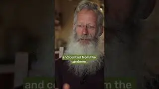I've Stopped Interfering With My Garden (Incredible Food Forest)