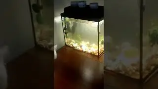 Прыг-скок,прыг-скок,с пятки на носок.