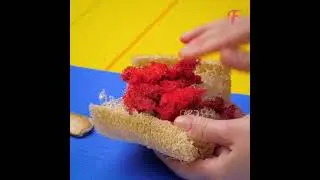 Как вырастить манго из косточки в домашних условиях видео