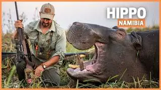 Hunting Africa’s Most Dangerous Animal: The Hippo