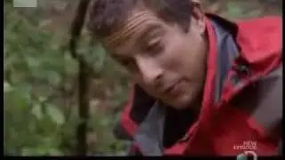 Bear Grylls Eats Shit