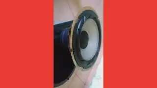 Disassembled speaker box (Sony Rx99) Similar to Sony Grx8, Grx10Av, V818, V919Av