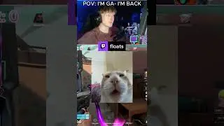 POV: You’re Serious 50% of the time #gaming #valorant