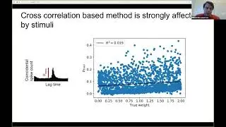 Talk: Inferring causal transmission probability from pairwise recordings and optogenetics