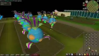 RuneLite Tithe Farm plugin (OSRS)