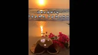 #алақаннанұшқан_аққуым
