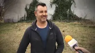 За кинологията с д-р Кънев: Американската акита, автор: Христо Кънев