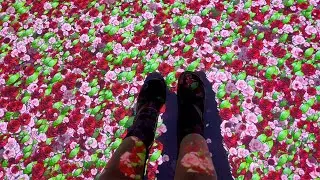 Real-Time Motion Tracking Interactive Art : Floor Projection Mapping