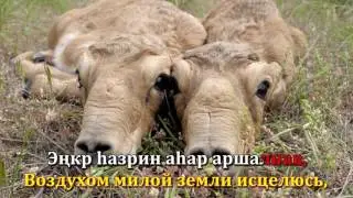 Караоке на Калмыцком языке. 