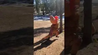 Битва против босса играем в пейнтбол 😜✌️